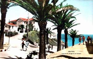 Ain-Taya - Avenue de la Plage et Hotel Les Tamaris